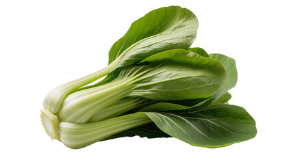 Fresh Green Bok Choy Bundle with Textured Leaves and Stems © Laura