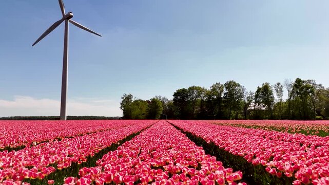 windmill in holland
