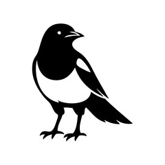 Logotipo con dibujo sencillo con líneas de una urraca vista de frente con la cabeza ladeada  © teracreonte