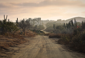 Rural sandy road with cactus, El Pescadero, Mexico, Baja California Sur stock photo images. Sandy path with cacti in Mexico. Cardon cactus on a dirt road stock photo © betka82