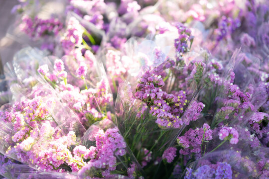 Soft dreamy purple statice flowers with morning sunlight bokeh