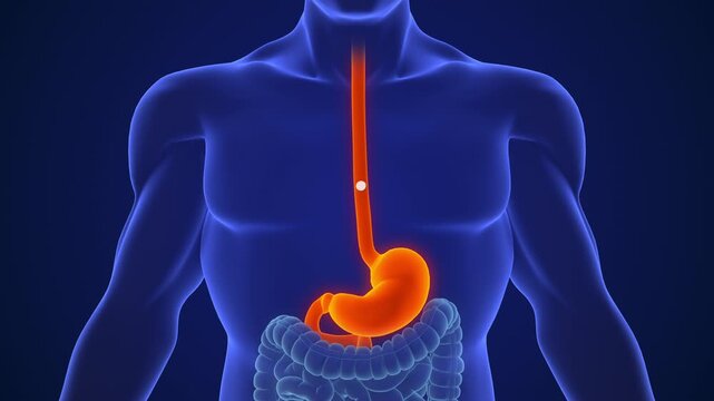 Antacid Treatment Acid Reflux Stomach Medical Concept
