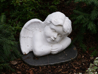 Fototapeta premium Angel statues in the cemetery