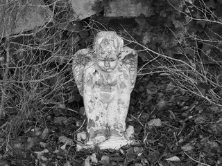Fototapeta premium Angel statues in the cemetery