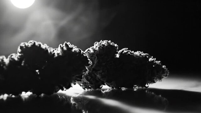 Black and white close up of cannabis buds with smoke illuminated by a bright overhead light