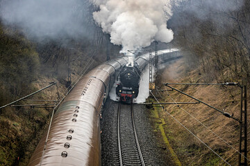 Two historic steam train locomotive 