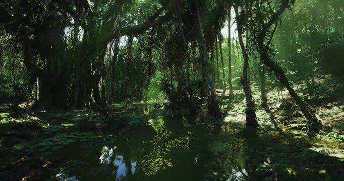Shaded mangrove canopy with filtered shafts of light and dense undergrowth, rich textures of bark, moss and leaf litter, atmosphere studious and vibrant