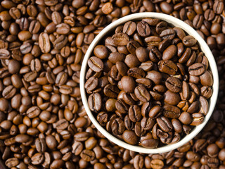 Fototapeta premium Roasted coffee beans. Selected Arabica beans.