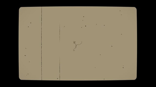 Old Film Texture Animation with Dust Scratch Retro Screen Effect