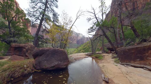 Footage capturing the serene natural beauty of the Middle Emerald Pools trail in Zion National Park, Utah. The scene features a small stream of water flowing over smooth rocks, surrounded by lush vege