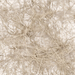 Obraz premium Texture of tangled fibers on a light background in a close-up view during daylight hours
