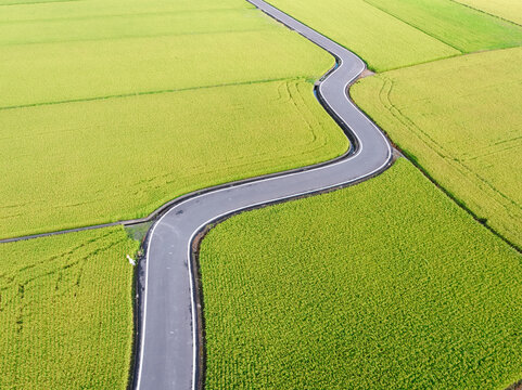 Aerial View of Paddy Field from Dongshan Township, Yilan, Taiwan.