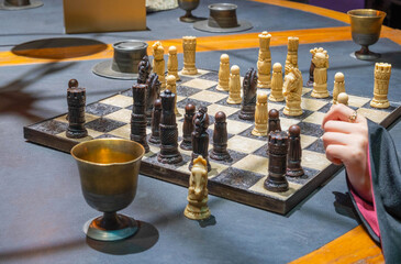 Fototapeta premium Nerima-ku, Tokyo Japan. February 13, 2024. A large Harry Potter wizard chessboard. 