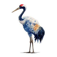 Obraz premium Watercolor Crane vector, artistic painting style, high-resolution illustration on a pure white background.