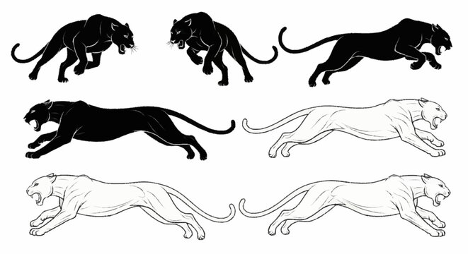 Vector collection of seven black panther and cougar illustrations in dynamic poses including leaping and pouncing, featuring both solid black silhouettes and detailed line art.