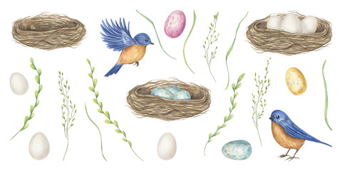 watercolor blue orange birds, twig nests with colorful eggs, and grass blades isolated clip art. Hand drawn woodland set for Easter cards, spring wedding invitations, baby shower stationery. © Masha_tolk_art
