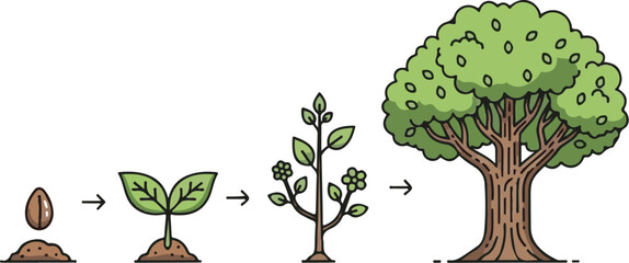 The life cycle of a tree from seed to maturity © Freelancer  