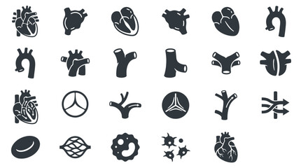Fototapeta premium Medical Cardiology Anatomy Glyph Icons Set - Human Heart, Blood Vessels, Circulatory System