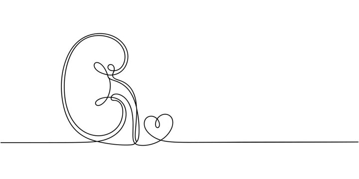 Single line drawing of human kidneys with heart symbol for health and love