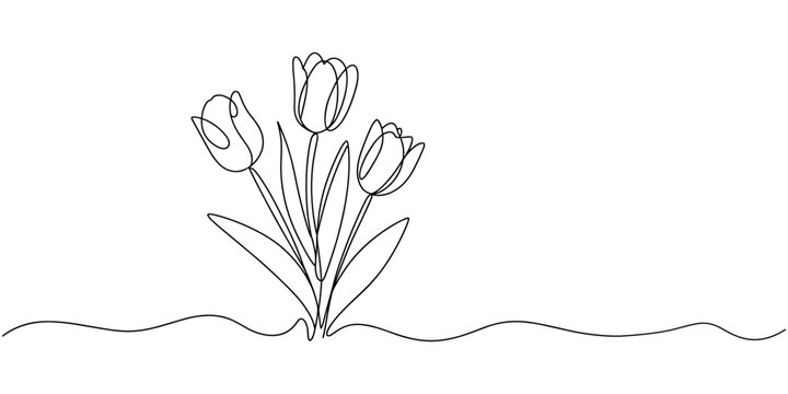 A minimalist line drawing of three tulips. The flowers are depicted with delicate, continuous lines, each with a bell-shaped petal structure. Three tulips on stems in continuous one line art style