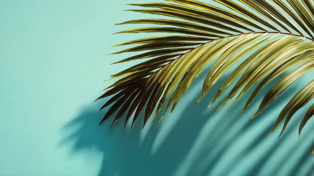 Close up of tropical palm leaf casting dark shadow on bright teal background