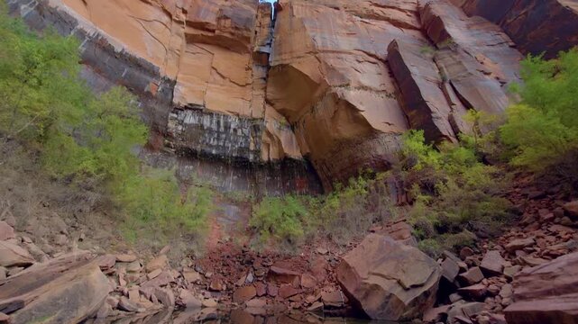 Footage captures the tranquil beauty of the Upper Emerald Pool in Zion National Park, Utah. The scene features calm, reflective water at the base of a massive, sheer sandstone cliff face. Lush green v