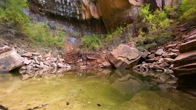 Footage of the serene reflecting pool at the base of the cliff at the Upper Emerald Pools in Zion National Park, Utah. This iconic hiking destination features spring-fed waterfalls and stunning canyon