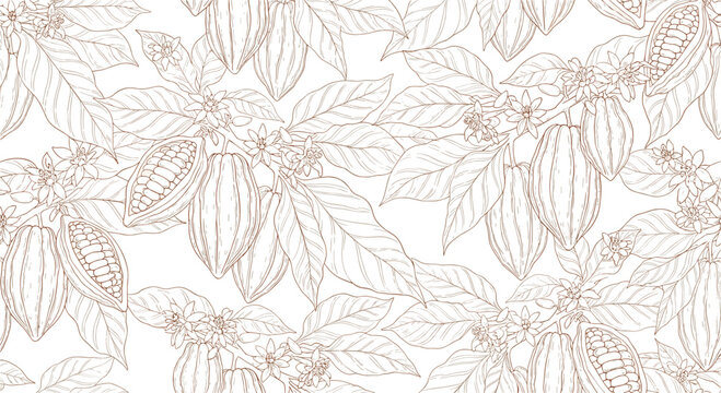 Hand-drawn seamless pattern featuring cocoa beans on branches with leaves and flowers in a brown line art style on a white background.