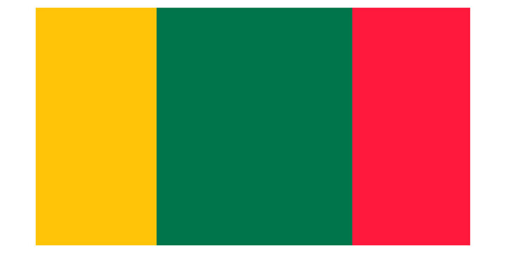 Mali flag illustration of african country