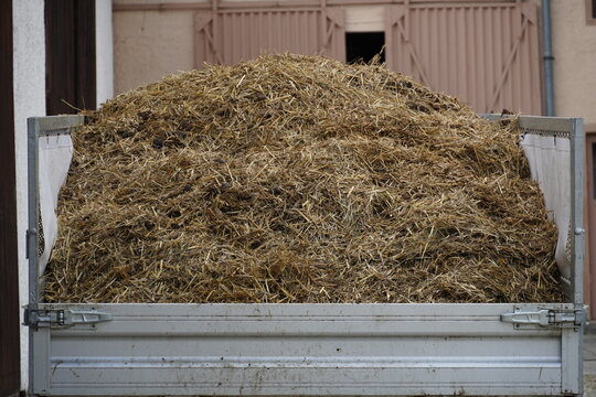 horse manure on a trailer
