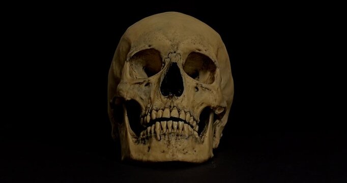 Human Skull with Light. Video of a motionless human skull with motion light on black background.