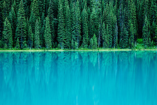 View into land of pine Trees reflected in the turquoise waters of Emerald Lake, Yoho National Park, British Columbia, Canada