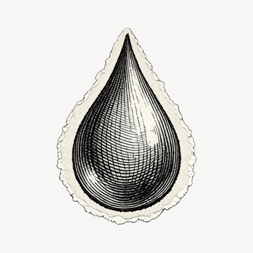 Vintage engraved teardrop illustration