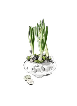 Detailed digital illustration of hyacinth bulbs in a classic pot, executed in a realistic sketchy watercolor style, with a backgroundless graphic element.