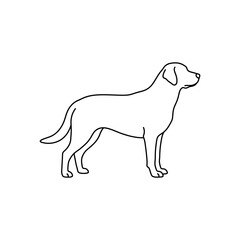 Fototapeta premium Dog Standing Side View Profile.