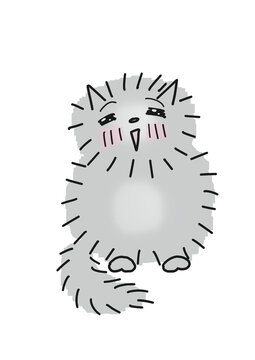 Very cute fluffy gray kitty