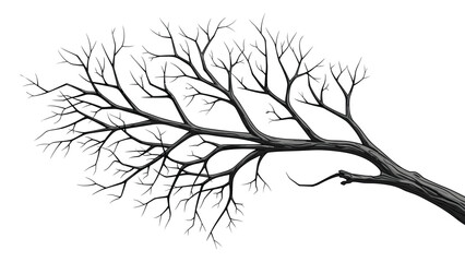 Obraz premium Detailed illustration of a bare tree branch with many smaller twigs stretching out against a solid white background.