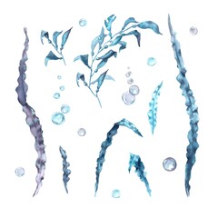 Fototapeta premium A collection of hand-drawn watercolor seaweed in blue, gray, and purple with leaves and bubbles on an isolated background. Simple clip art of underwater objects with room for design and decoration