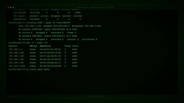 Network Routing Table DNS Configuration Linux Command Line Interface.