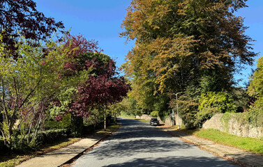 A peaceful suburban street lined with colorful autumn trees. The bright blue sky provides a vibrant...