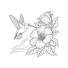 Detailed Hummingbird and Hibiscus Flower Line Art for Coloring © Nurnahar