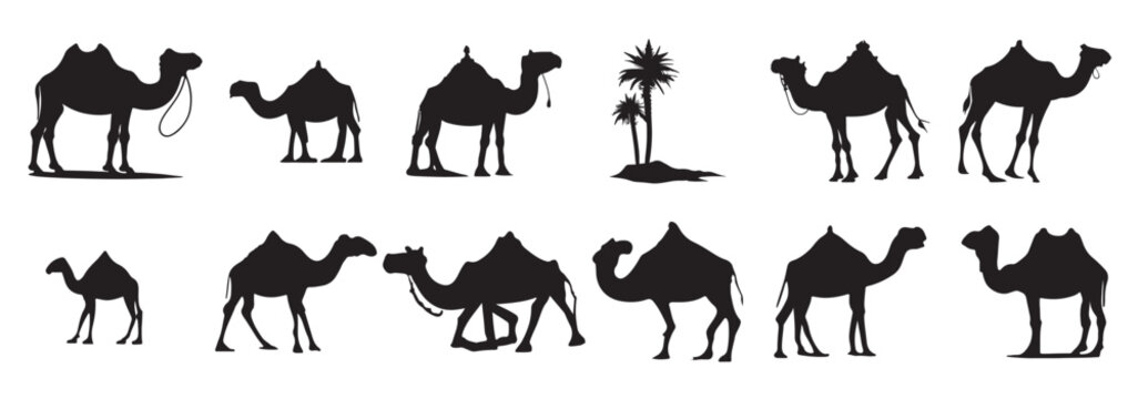 camel silhouette set black logo animals silhouettes icons