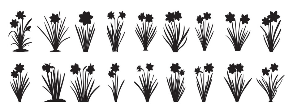 cattails silhouette white background