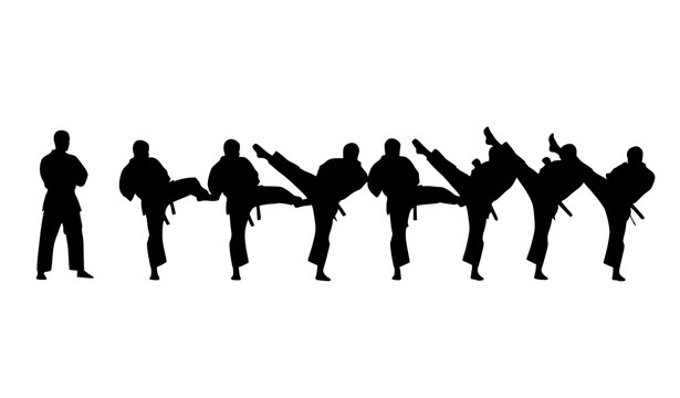 Martial arts kick sequence silhouette training progression fighters technique vector isolated on white