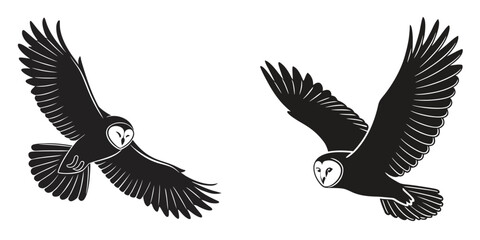 Fototapeta premium Two barn owls flying in the air with outstretched wings
