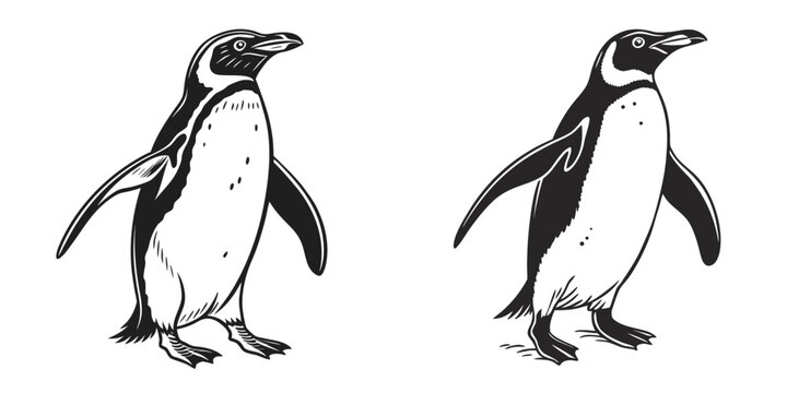 Two penguins standing side by side in black and white illustration