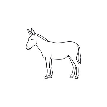Donkey standing alone in profile view.