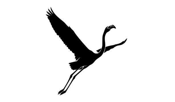 Flamingo silhouette upward flight dynamic wing pose tropical bird vector isolated on white