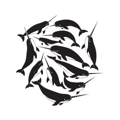Black Narwhal Silhouette Vector, High Quality Illustration on White Background © dream