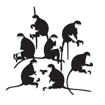 Black Red-shanked douc Silhouette Vector, High Quality Illustration on White Background